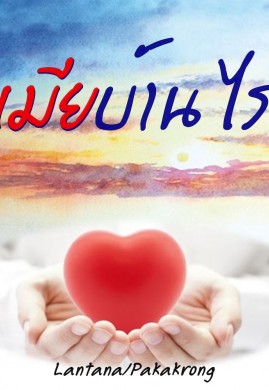 เมียบ้านไร่