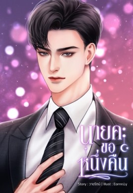 นายคะ ขอหนึ่งคืน (NC20+)